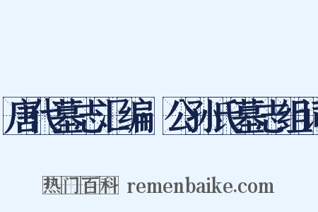 唐代墓志汇编·公孙氏墓志组词是什么意思的图片